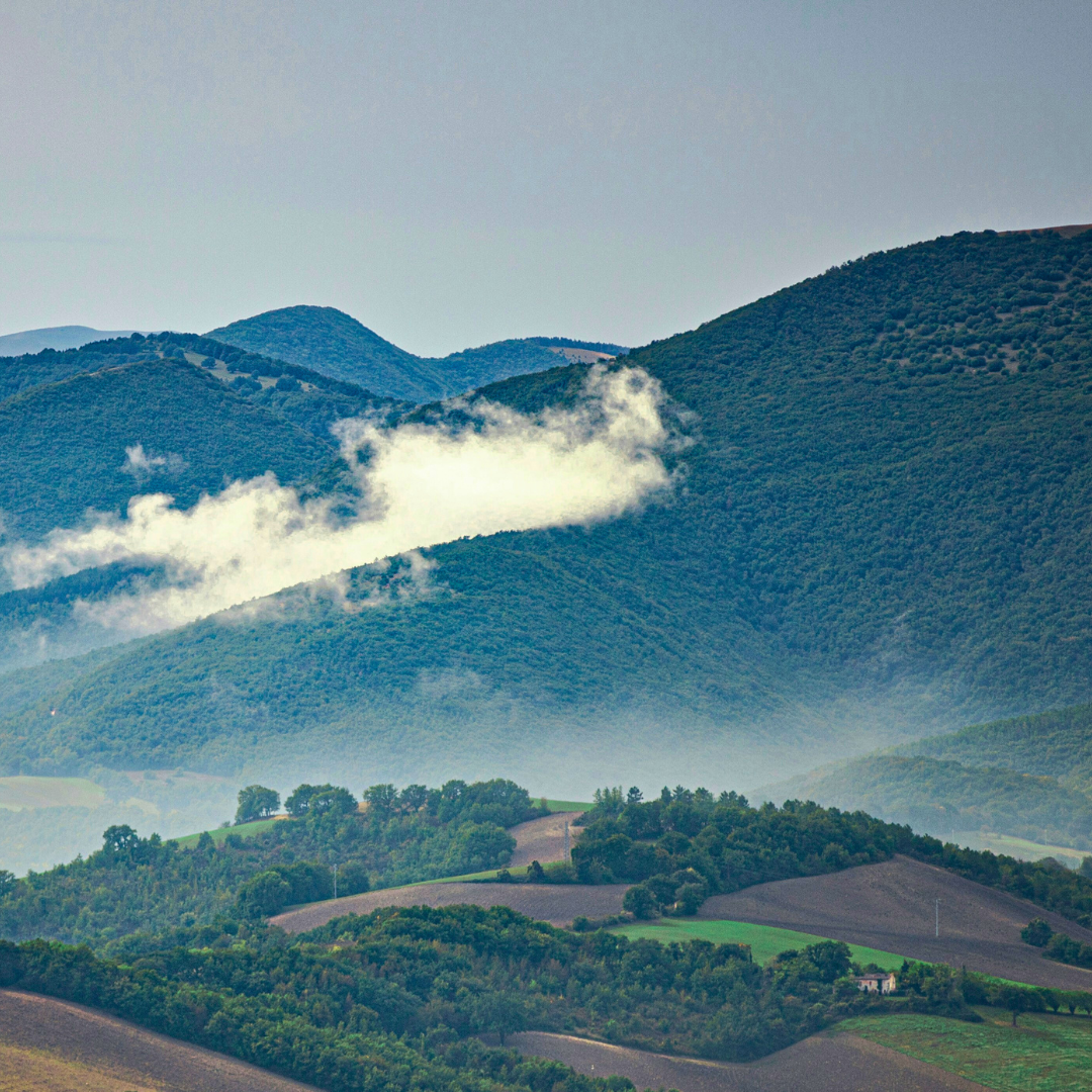 Work with us in Fabriano and develop your career in a European environment